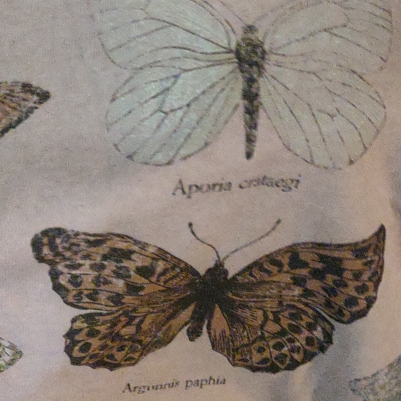 *SOLD* BOGO NWT CACTUS & PEARL Butterfly Graphic Crewneck Tee - Picture 3 of 7